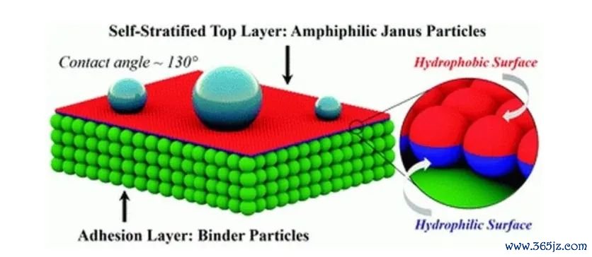 英好意思科学家对Janus对涂层亲疏水的沟通